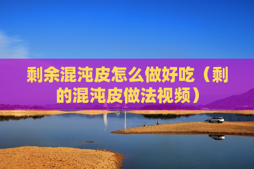 剩余混沌皮怎么做好吃（剩的混沌皮做法视频）