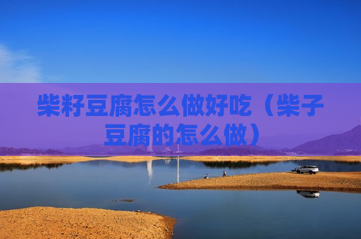 柴籽豆腐怎么做好吃（柴子豆腐的怎么做）