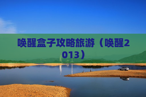 唤醒盒子攻略旅游（唤醒2013）