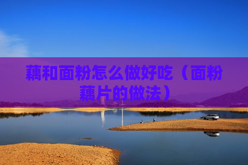 藕和面粉怎么做好吃（面粉藕片的做法）
