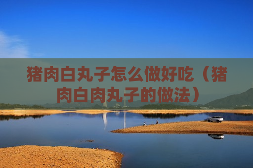 猪肉白丸子怎么做好吃（猪肉白肉丸子的做法）