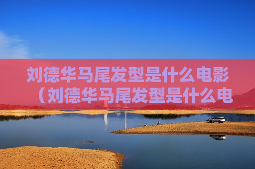 刘德华马尾发型是什么电影（刘德华马尾发型是什么电影里的）