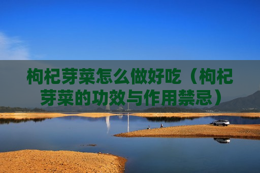 枸杞芽菜怎么做好吃（枸杞芽菜的功效与作用禁忌）