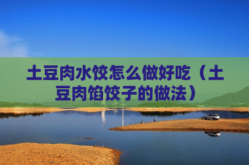 土豆肉水饺怎么做好吃（土豆肉馅饺子的做法）