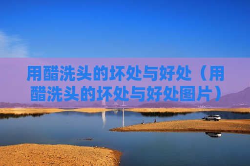 用醋洗头的坏处与好处（用醋洗头的坏处与好处图片）