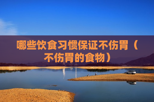 哪些饮食习惯保证不伤胃（不伤胃的食物）