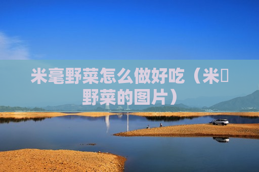 米毫野菜怎么做好吃（米萩野菜的图片）