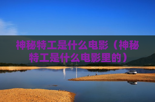 神秘特工是什么电影（神秘特工是什么电影里的）
