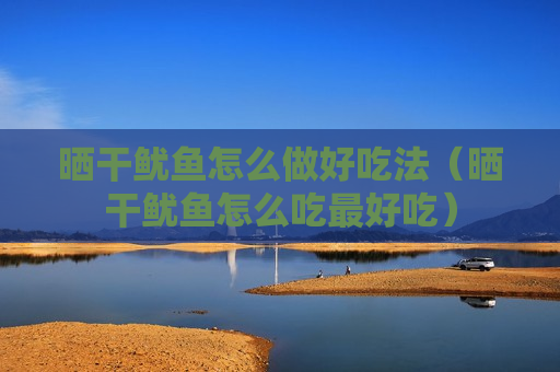 晒干鱿鱼怎么做好吃法（晒干鱿鱼怎么吃最好吃）