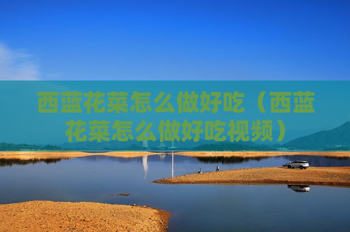 西蓝花菜怎么做好吃（西蓝花菜怎么做好吃视频）
