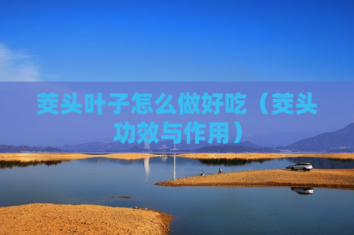 茭头叶子怎么做好吃（茭头功效与作用）