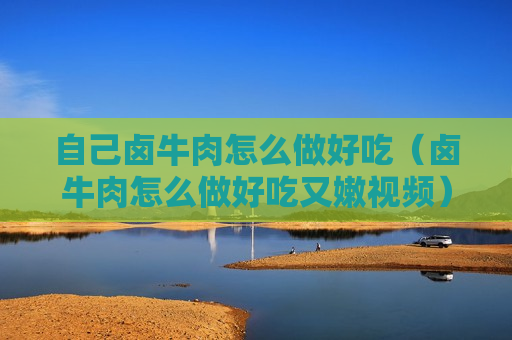 自己卤牛肉怎么做好吃（卤牛肉怎么做好吃又嫩视频）