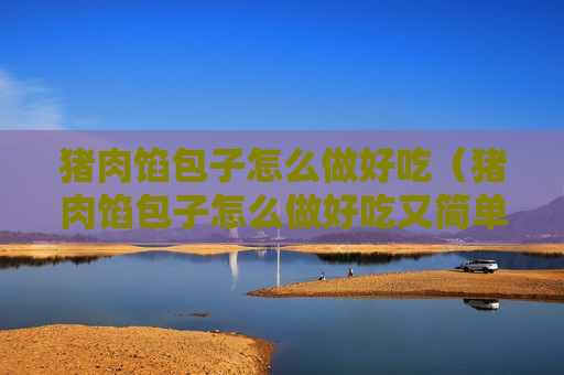 猪肉馅包子怎么做好吃（猪肉馅包子怎么做好吃又简单）
