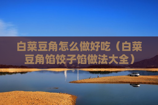 白菜豆角怎么做好吃（白菜豆角馅饺子馅做法大全）