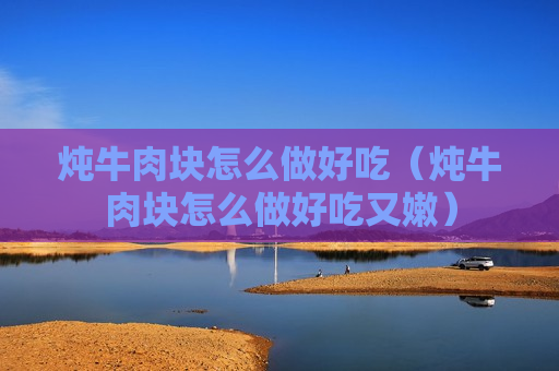 炖牛肉块怎么做好吃（炖牛肉块怎么做好吃又嫩）