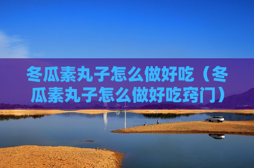 冬瓜素丸子怎么做好吃（冬瓜素丸子怎么做好吃窍门）
