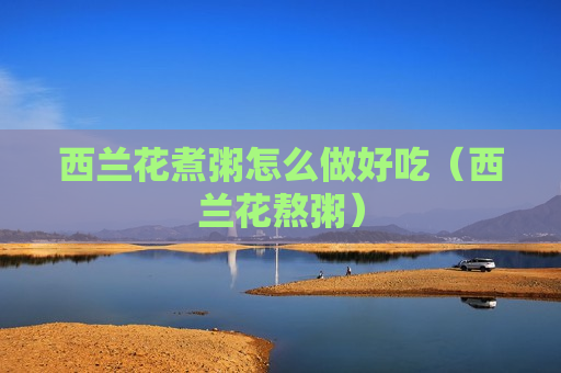 西兰花煮粥怎么做好吃（西兰花熬粥）