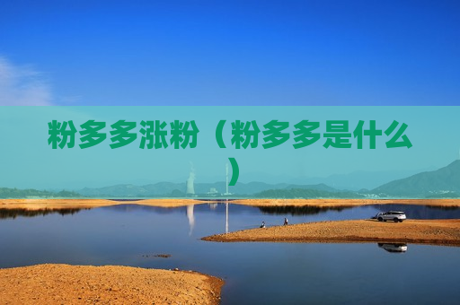 粉多多涨粉（粉多多是什么）