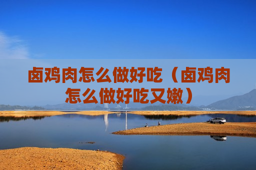 卤鸡肉怎么做好吃（卤鸡肉怎么做好吃又嫩）