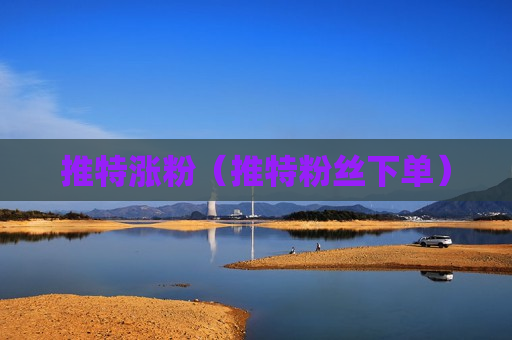 推特涨粉（推特粉丝下单）
