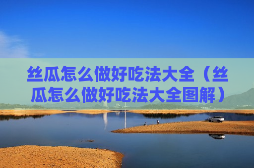丝瓜怎么做好吃法大全（丝瓜怎么做好吃法大全图解）