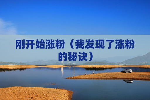 刚开始涨粉（我发现了涨粉的秘诀）