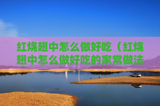 红烧翅中怎么做好吃（红烧翅中怎么做好吃的家常做法）