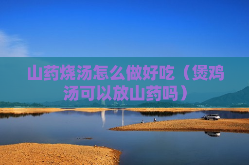 山药烧汤怎么做好吃（煲鸡汤可以放山药吗）