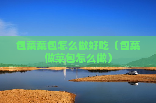 包菜菜包怎么做好吃（包菜做菜包怎么做）