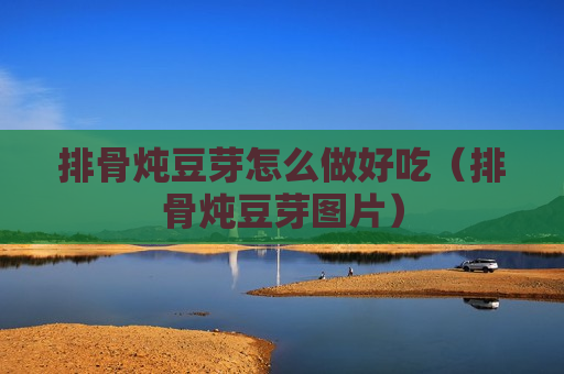 排骨炖豆芽怎么做好吃（排骨炖豆芽图片）