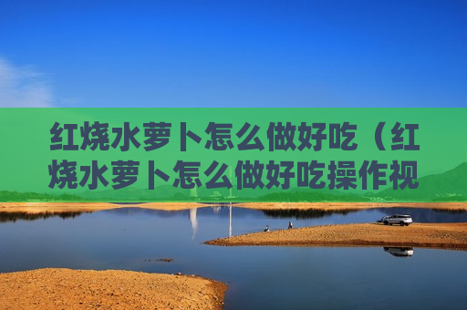 红烧水萝卜怎么做好吃（红烧水萝卜怎么做好吃操作视频）