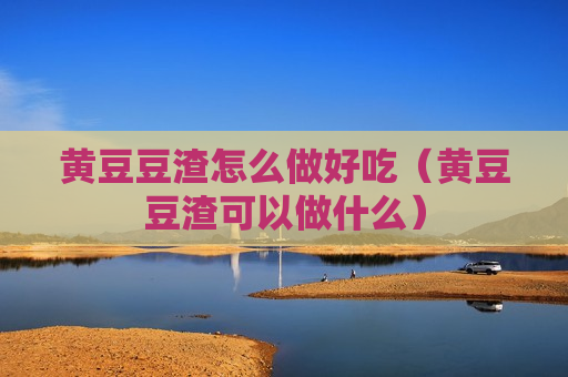黄豆豆渣怎么做好吃（黄豆豆渣可以做什么）