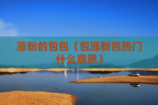 涨粉的包包（包涨粉包热门什么意思）