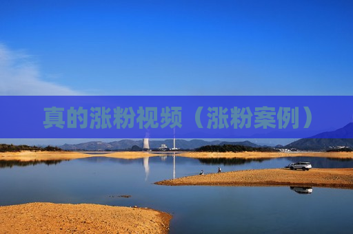 真的涨粉视频（涨粉案例）