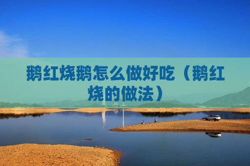 鹅红烧鹅怎么做好吃（鹅红烧的做法）