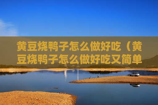 黄豆烧鸭子怎么做好吃（黄豆烧鸭子怎么做好吃又简单）