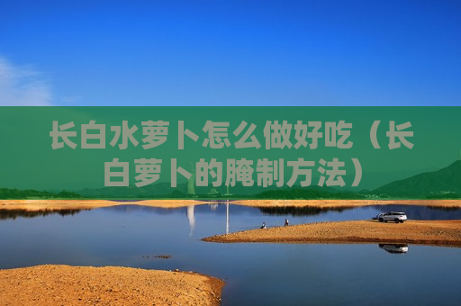 长白水萝卜怎么做好吃（长白萝卜的腌制方法）