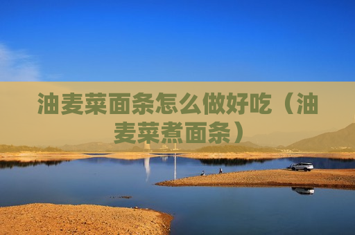 油麦菜面条怎么做好吃（油麦菜煮面条）