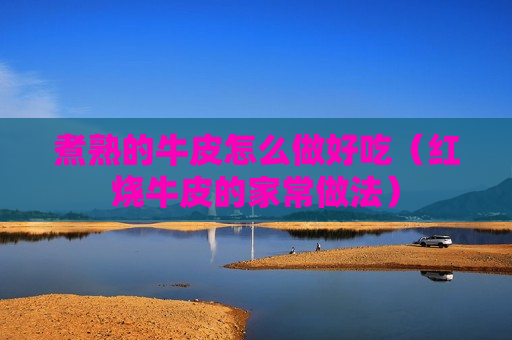 煮熟的牛皮怎么做好吃（红烧牛皮的家常做法）