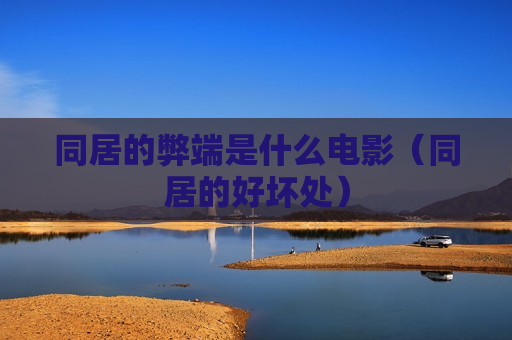 同居的弊端是什么电影（同居的好坏处）