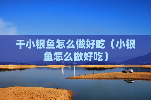 干小银鱼怎么做好吃（小银鱼怎么做好吃）