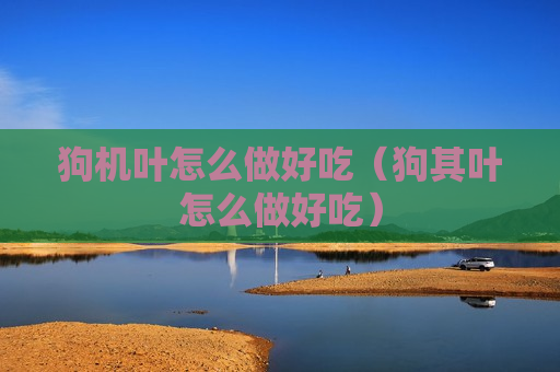 狗机叶怎么做好吃（狗其叶怎么做好吃）