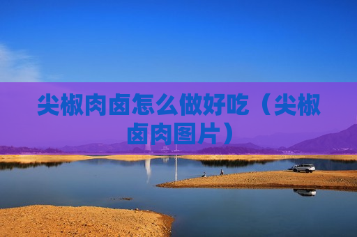 尖椒肉卤怎么做好吃（尖椒卤肉图片）