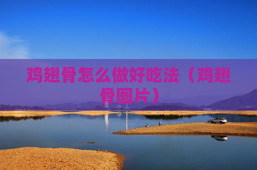 鸡翅骨怎么做好吃法（鸡翅骨图片）