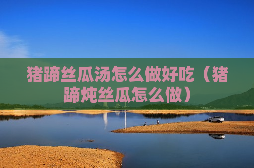 猪蹄丝瓜汤怎么做好吃（猪蹄炖丝瓜怎么做）