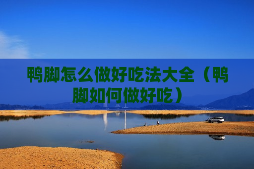 鸭脚怎么做好吃法大全（鸭脚如何做好吃）