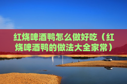 红烧啤酒鸭怎么做好吃（红烧啤酒鸭的做法大全家常）
