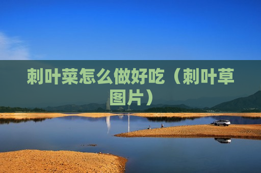 刺叶菜怎么做好吃（刺叶草图片）