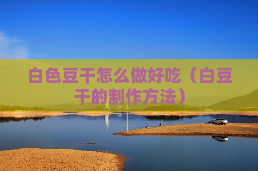 白色豆干怎么做好吃（白豆干的制作方法）