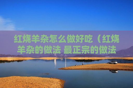 红烧羊杂怎么做好吃（红烧羊杂的做法 最正宗的做法）